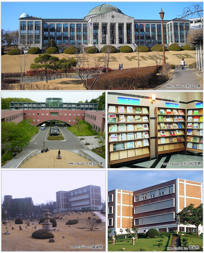 庆北国立大学